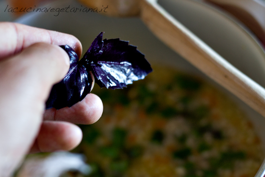 Risotto agli asparagi e basilico viola Vegano Gourmand